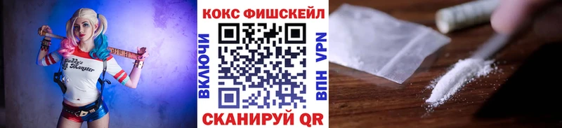 сколько стоит  Прокопьевск  МЕГА как зайти  Cocaine VHQ 