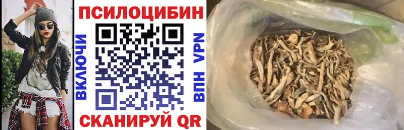 kraken как войти  Прокопьевск  Галлюциногенные грибы Magic Shrooms 